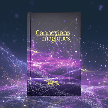 Couverture du livre Connexions magiques de Paillettes INC.
