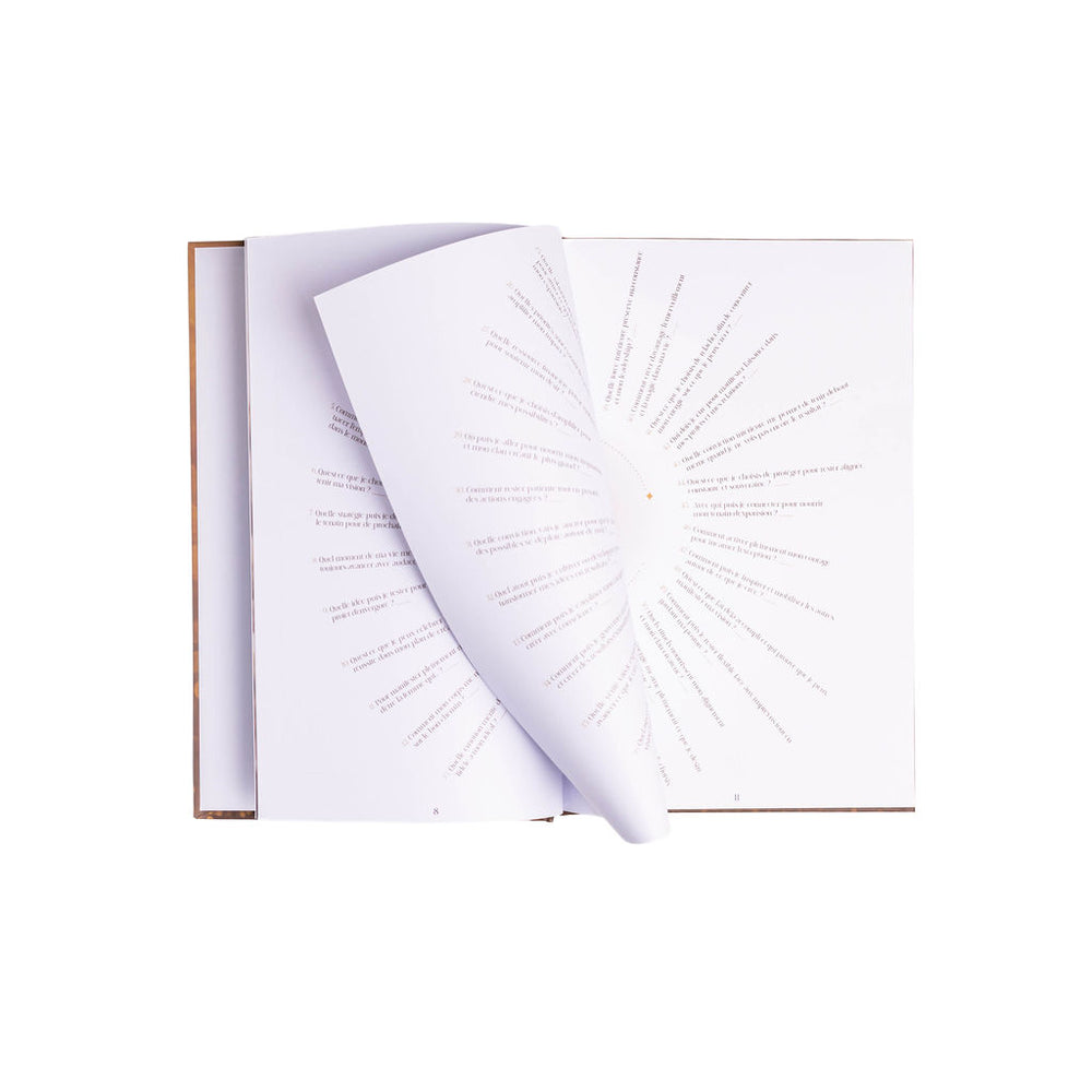 Livre 52 questions pour incarner ta vision