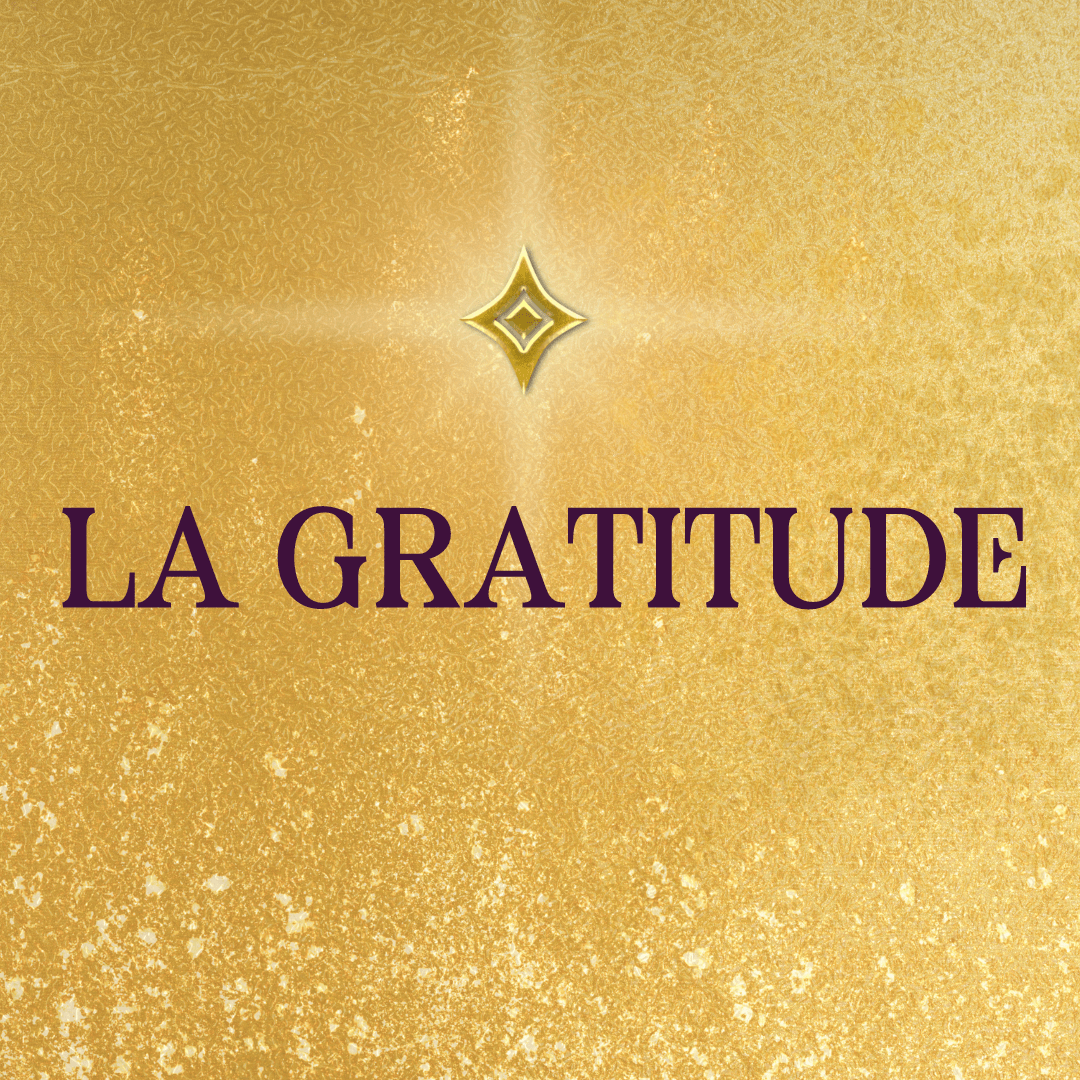 Formation sur l'intégration de la gratitude dans la vie pour transformer les expériences et recentrer le positif